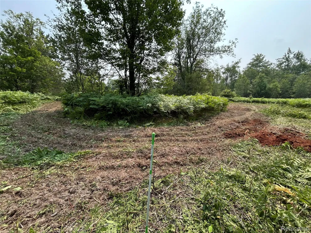 6658 Brookfield Court Mancelona Township, MI 49730