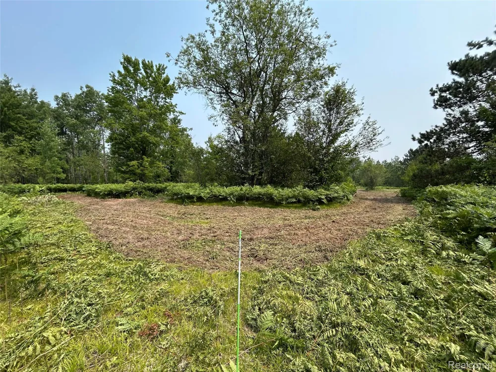 6658 Brookfield Court Mancelona Township, MI 49730