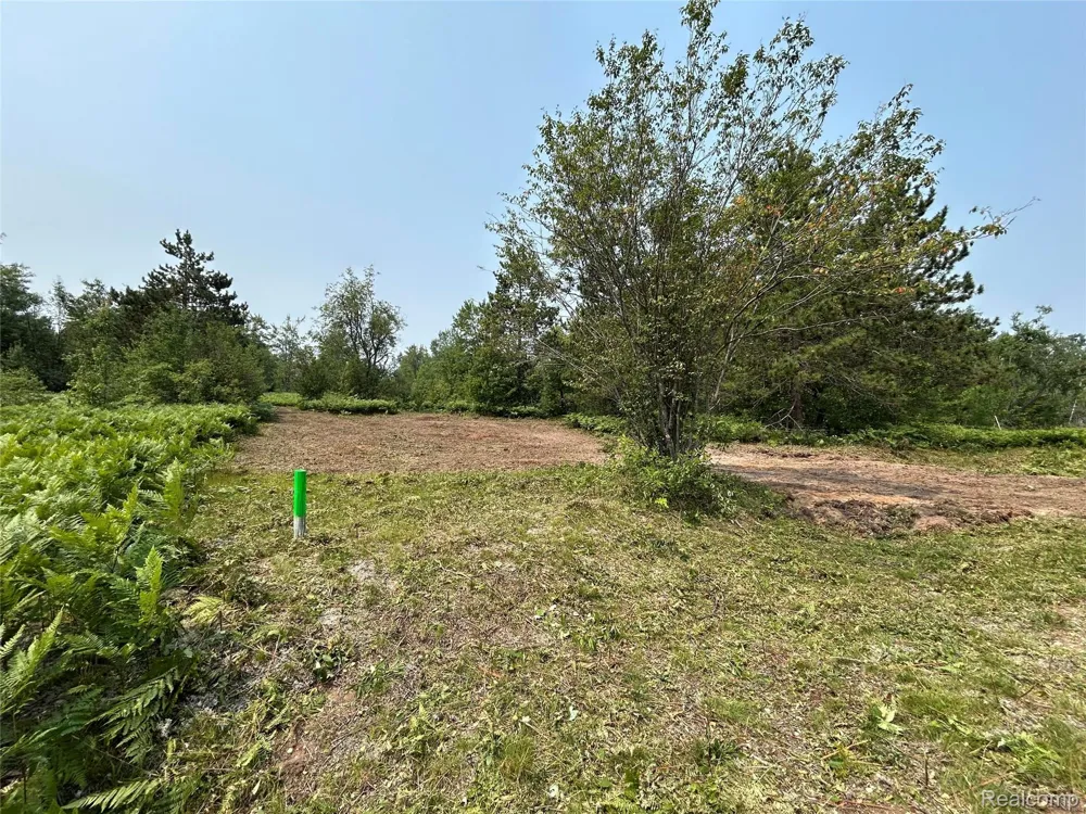 6658 Brookfield Court Mancelona Township, MI 49730
