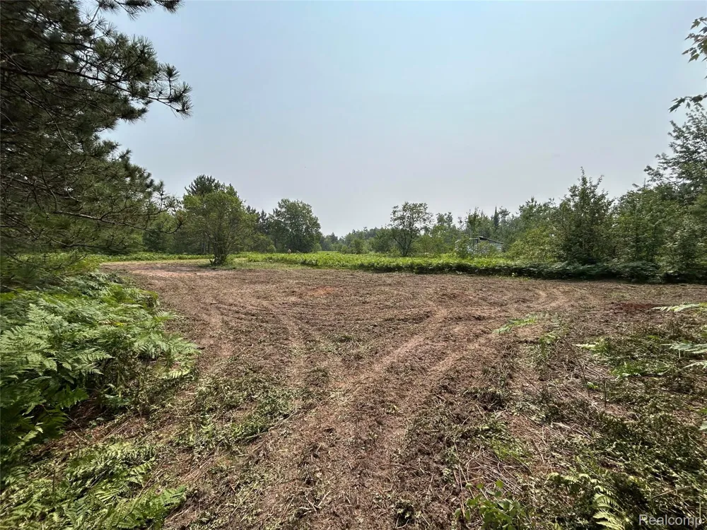 6658 Brookfield Court Mancelona Township, MI 49730