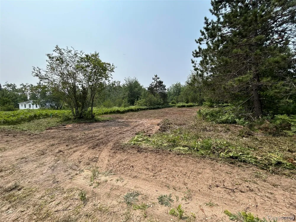 6658 Brookfield Court Mancelona Township, MI 49730