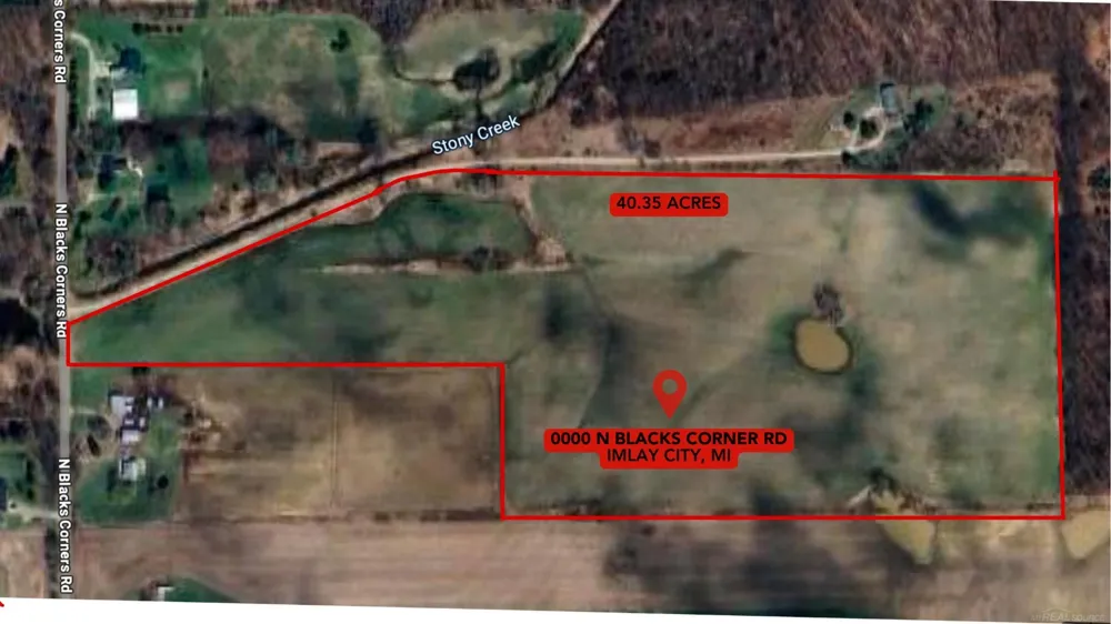 Blacks Corner Road Goodland Township, MI 48444