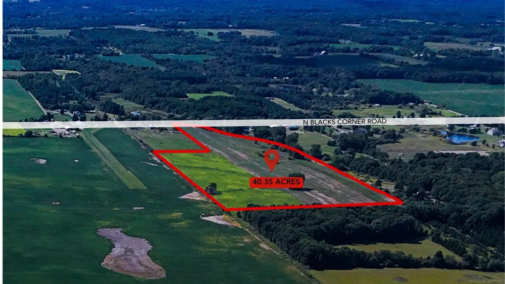 Blacks Corner Road Goodland Township, MI 48444