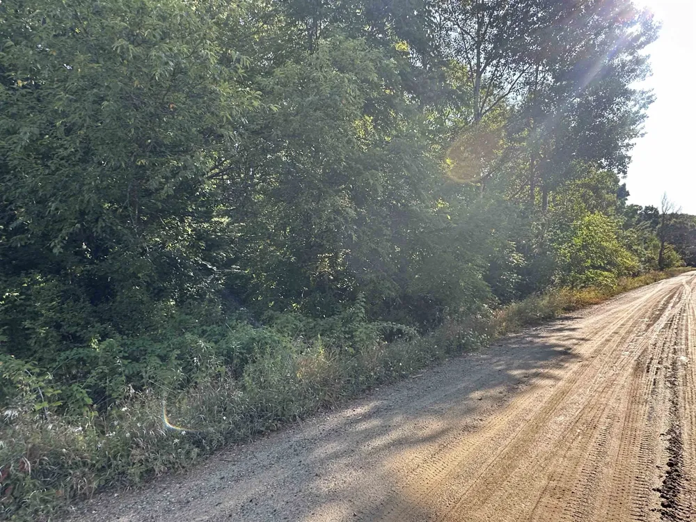 Willow Street Garfield Township, MI 48632