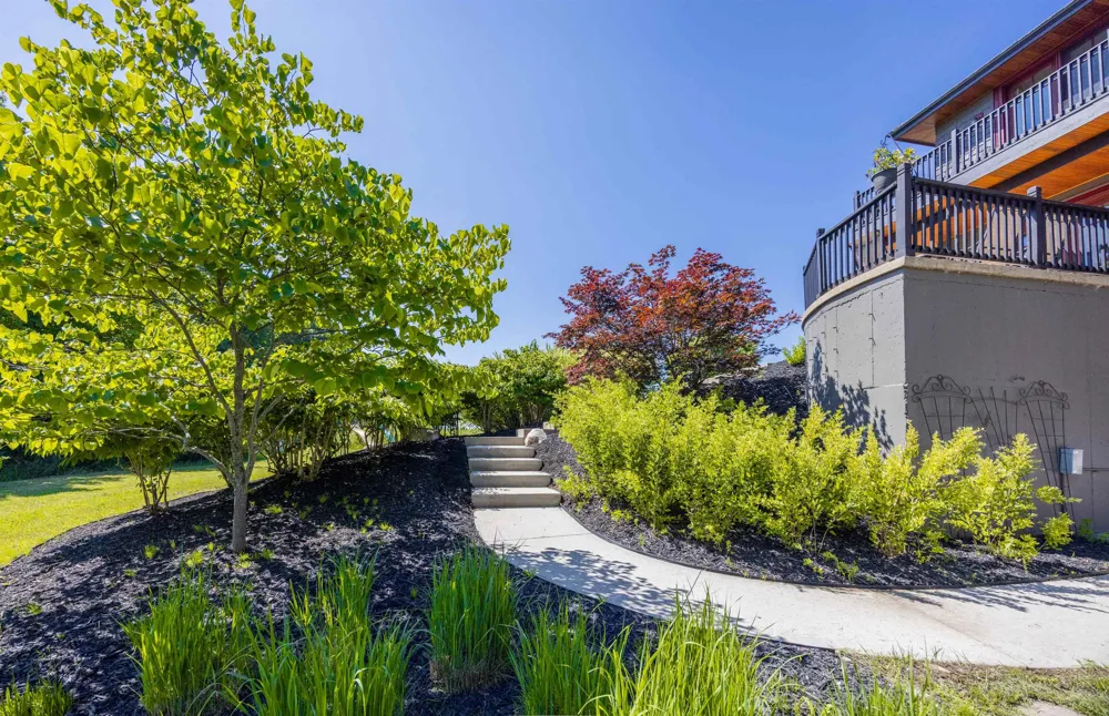 3888 Swaney Road Peninsula Township, MI 49686
