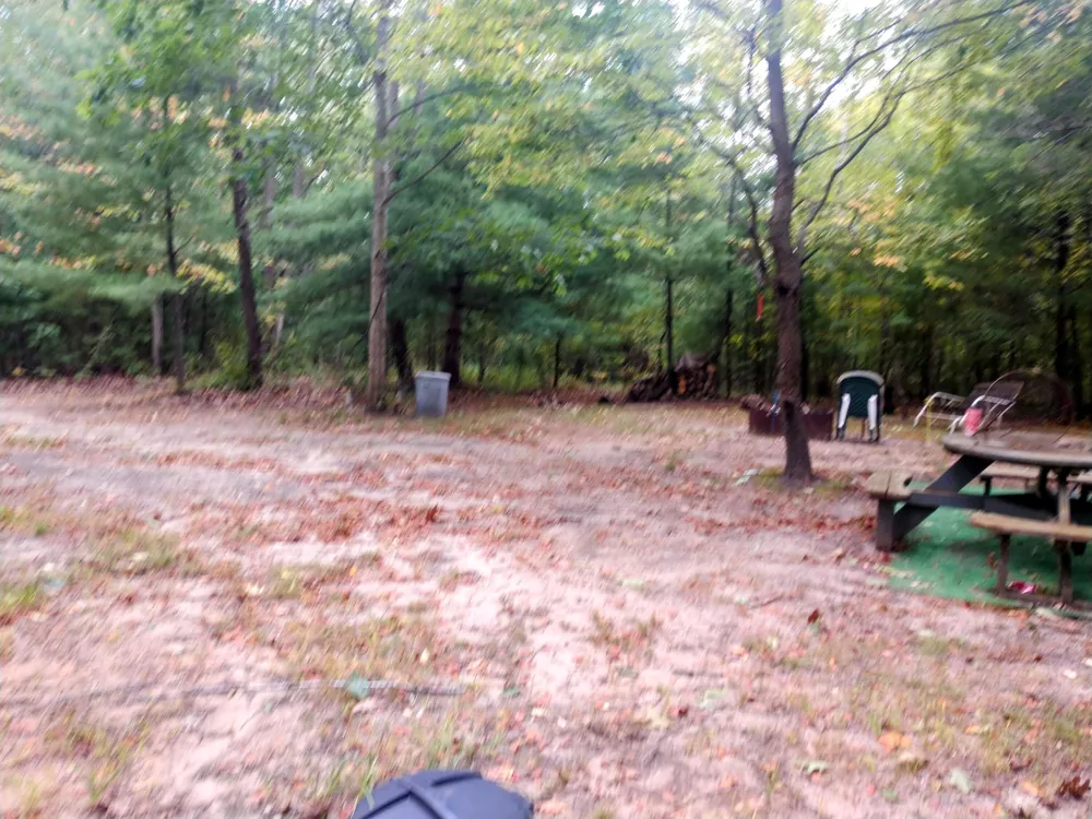 8653 E Remus Road Chippewa Township, MI 48858