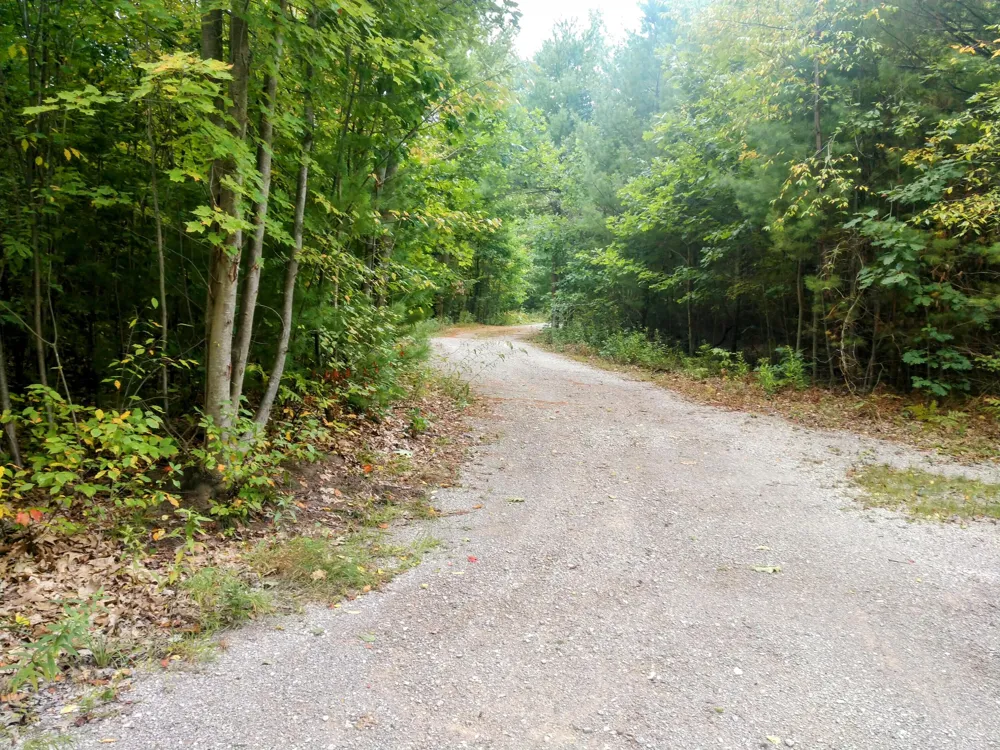 8653 E Remus Road Chippewa Township, MI 48858