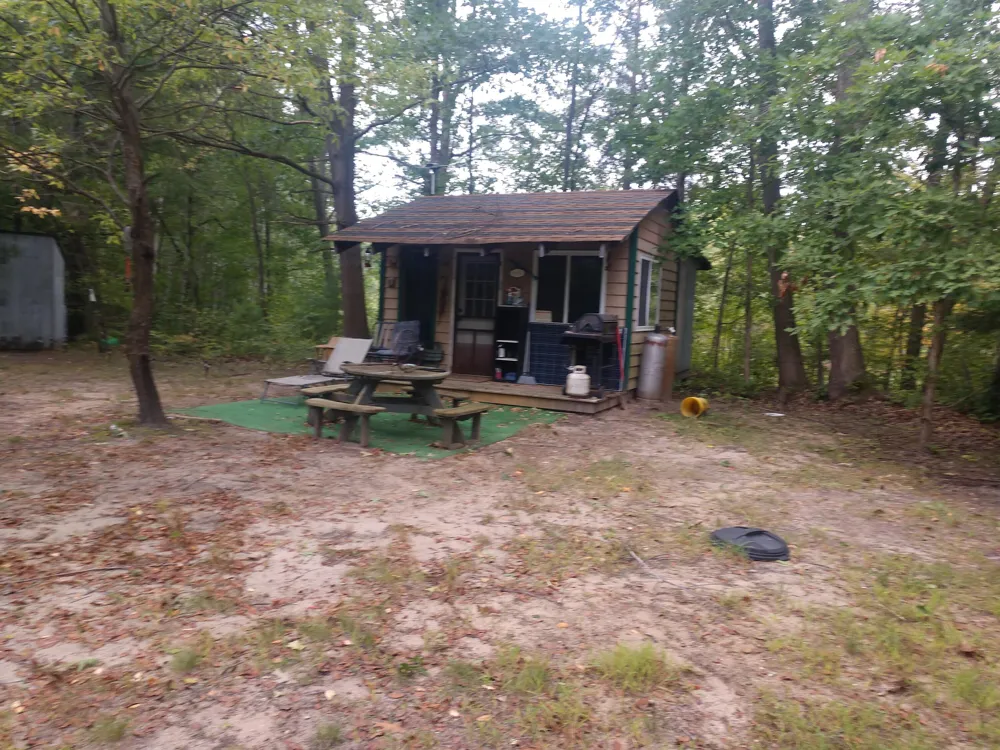 8653 E Remus Road Chippewa Township, MI 48858