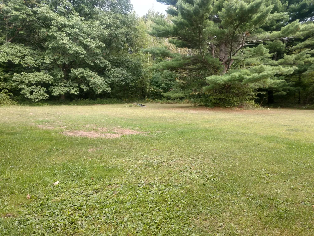 8653 E Remus Road Chippewa Township, MI 48858