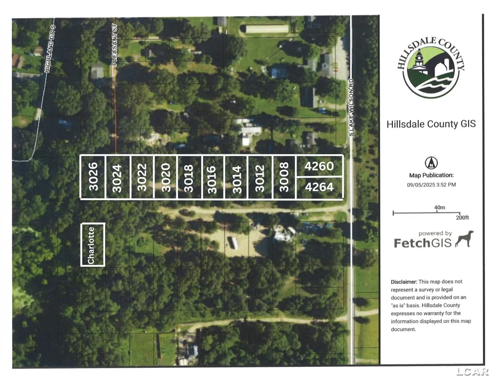 4260 S Lake Wilson Road Cambria Township, MI 49242