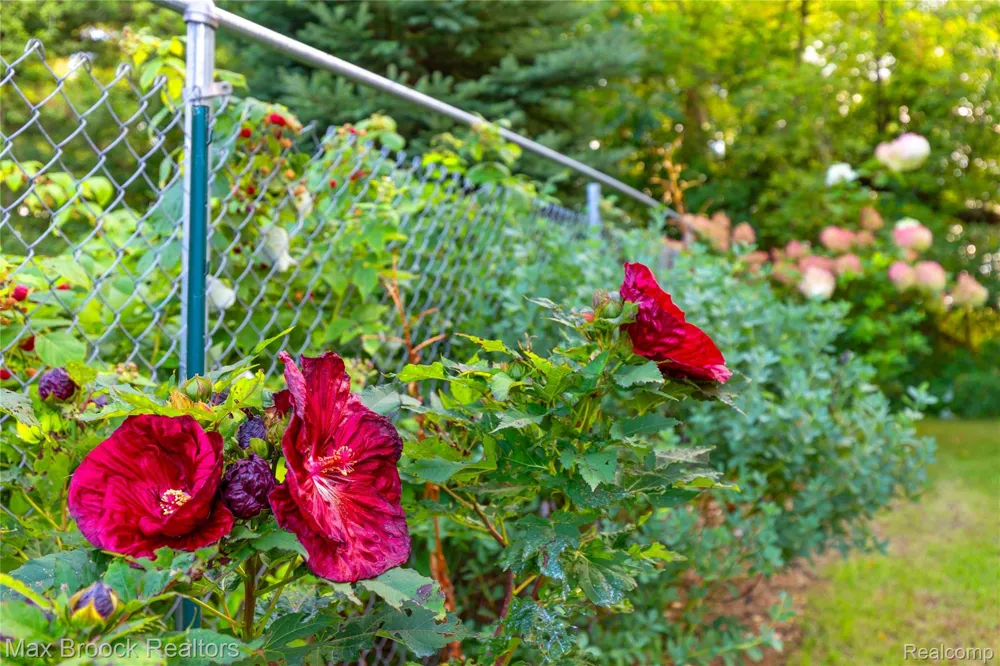 4700 Stanley Road Columbiaville Village, MI 48421