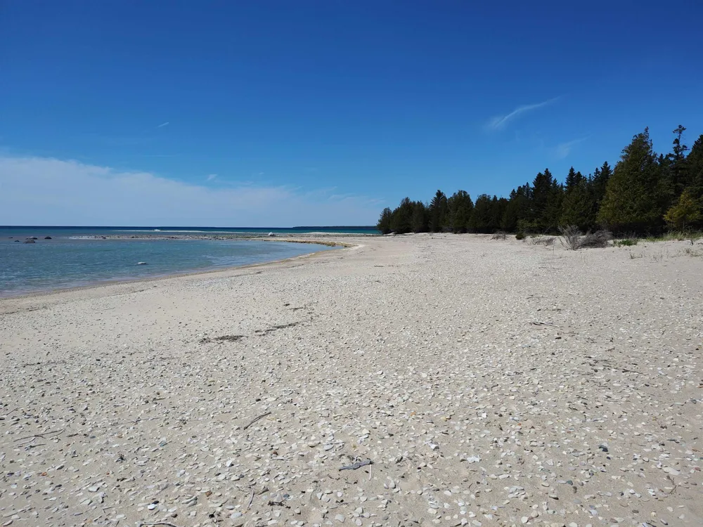 Mrs Reddings Trail Peaine Township, MI 49782