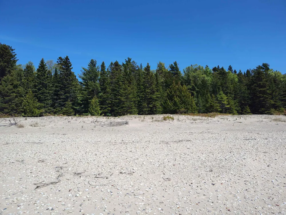 Mrs Reddings Trail Peaine Township, MI 49782