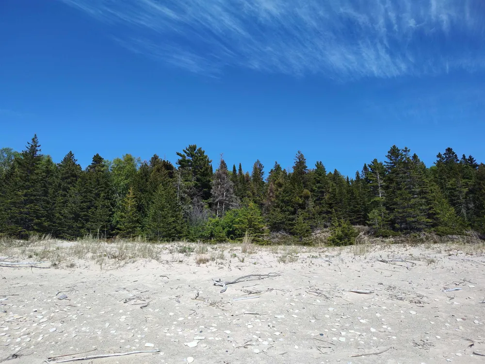 Mrs Reddings Trail Peaine Township, MI 49782