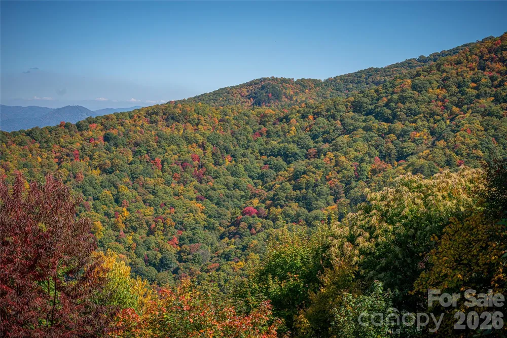 205 Chickadee Lane #205 Maggie Valley, NC 28751