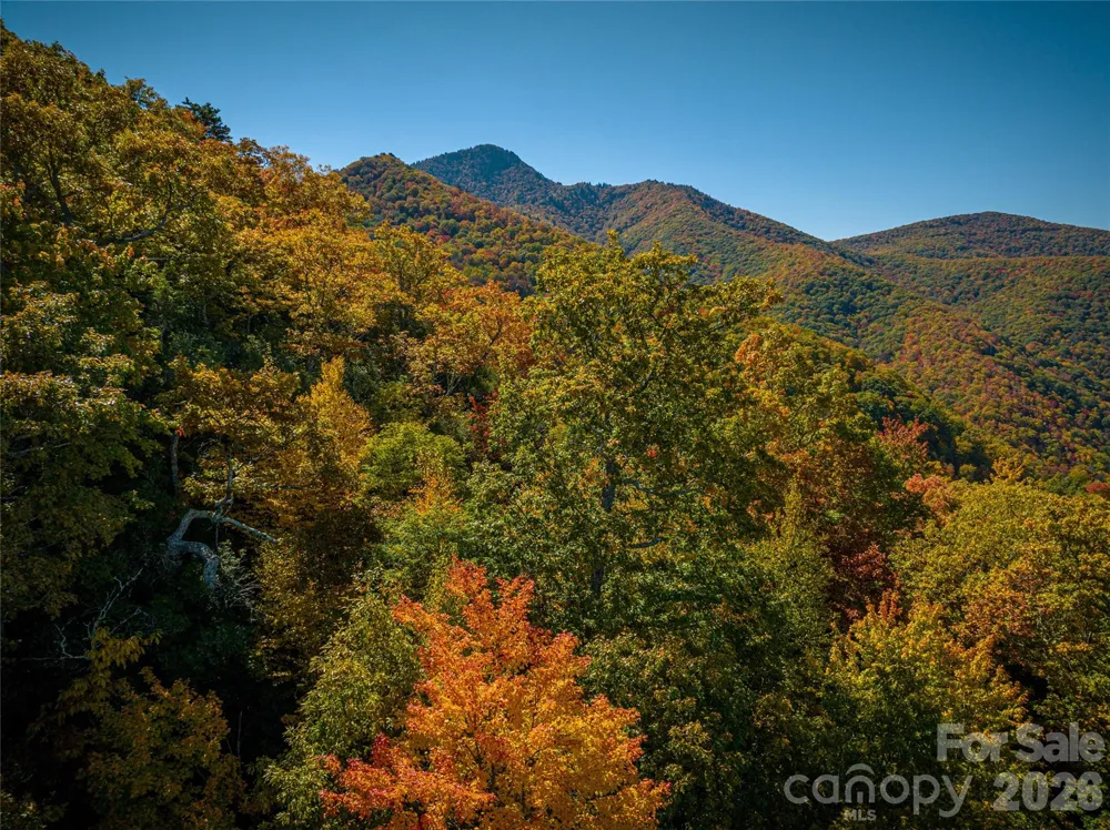 205 Chickadee Lane #205 Maggie Valley, NC 28751