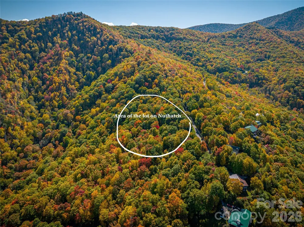 205 Chickadee Lane #205 Maggie Valley, NC 28751