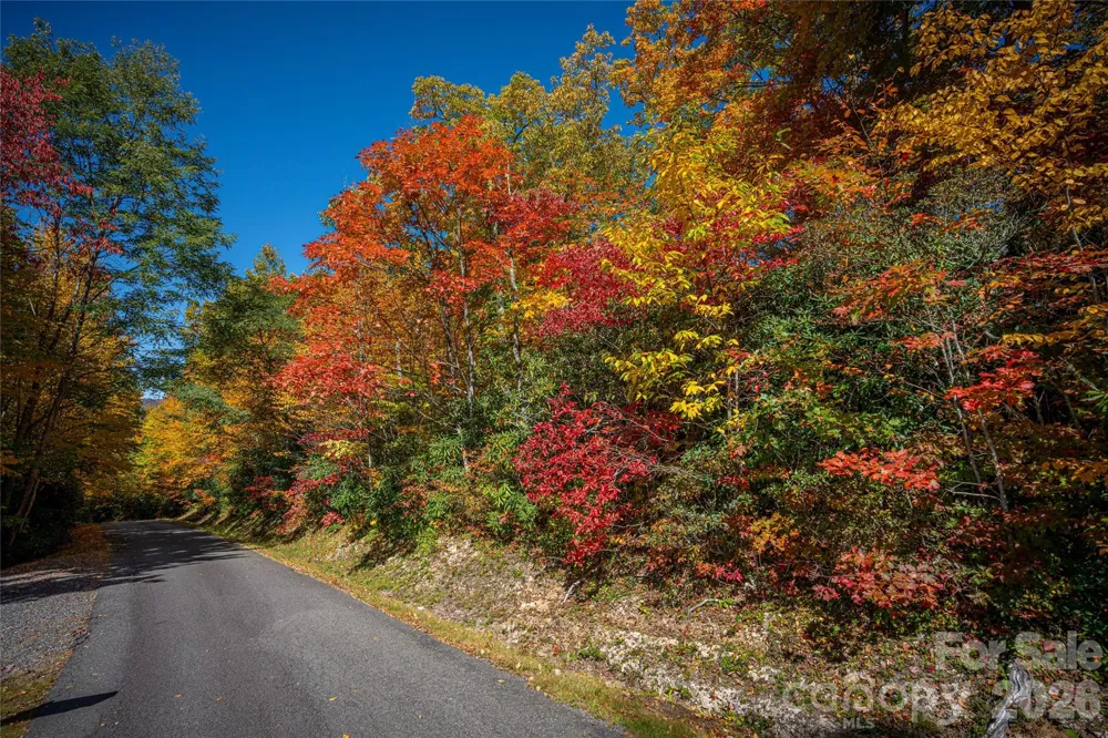 205 Chickadee Lane #205 Maggie Valley, NC 28751