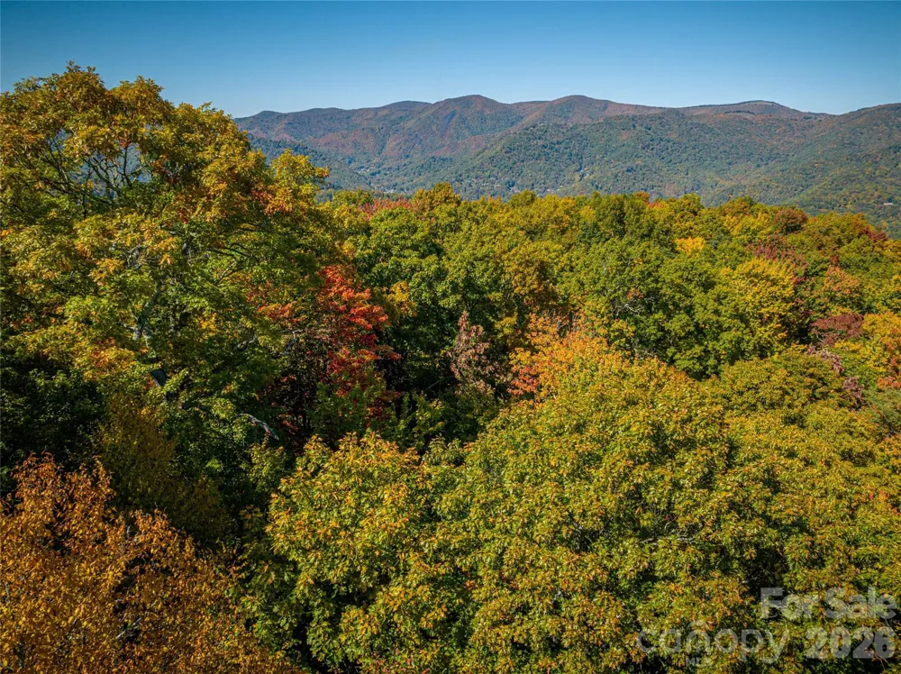 205 Chickadee Lane #205 Maggie Valley, NC 28751