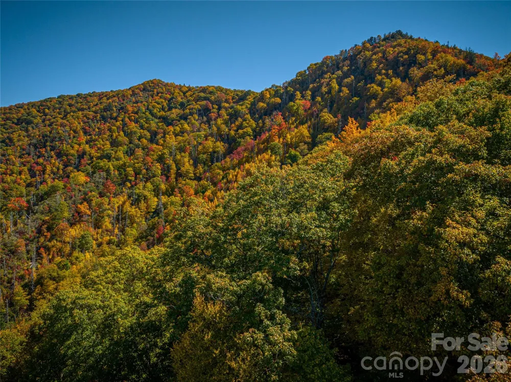 205 Chickadee Lane #205 Maggie Valley, NC 28751