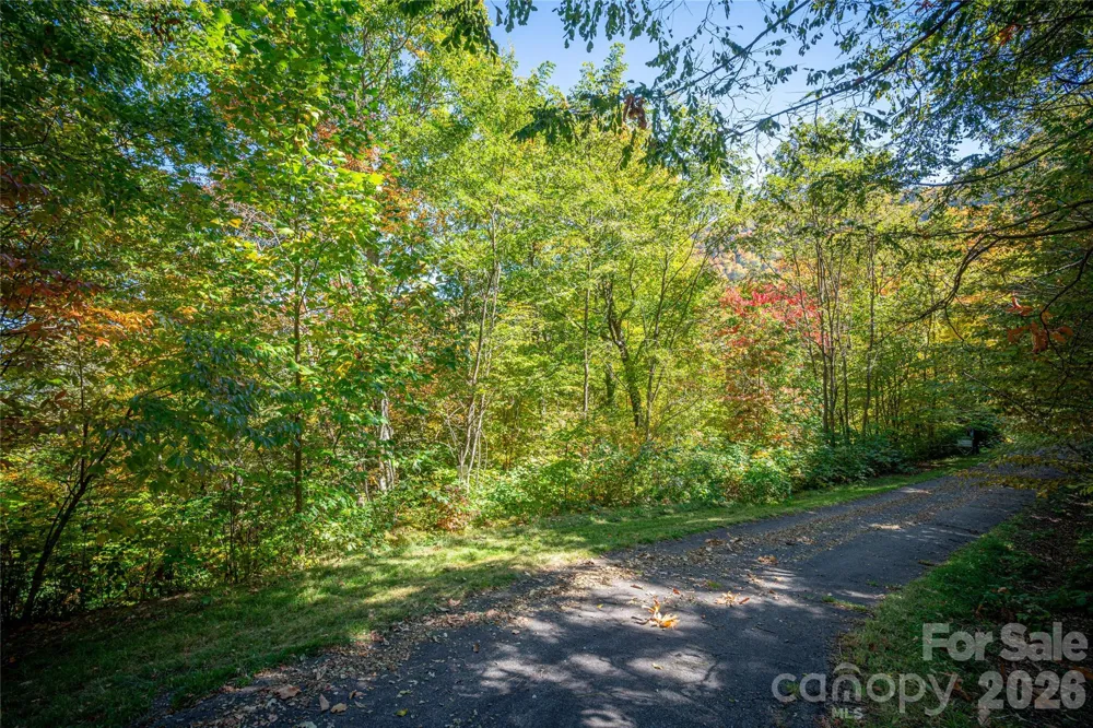 205 Chickadee Lane #205 Maggie Valley, NC 28751
