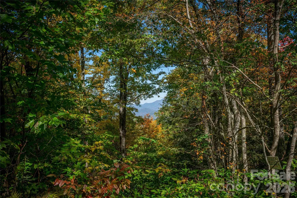 205 Chickadee Lane #205 Maggie Valley, NC 28751