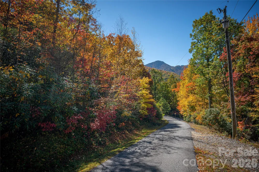 205 Chickadee Lane #205 Maggie Valley, NC 28751