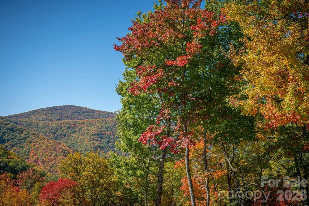 205 Chickadee Lane #205 Maggie Valley, NC 28751
