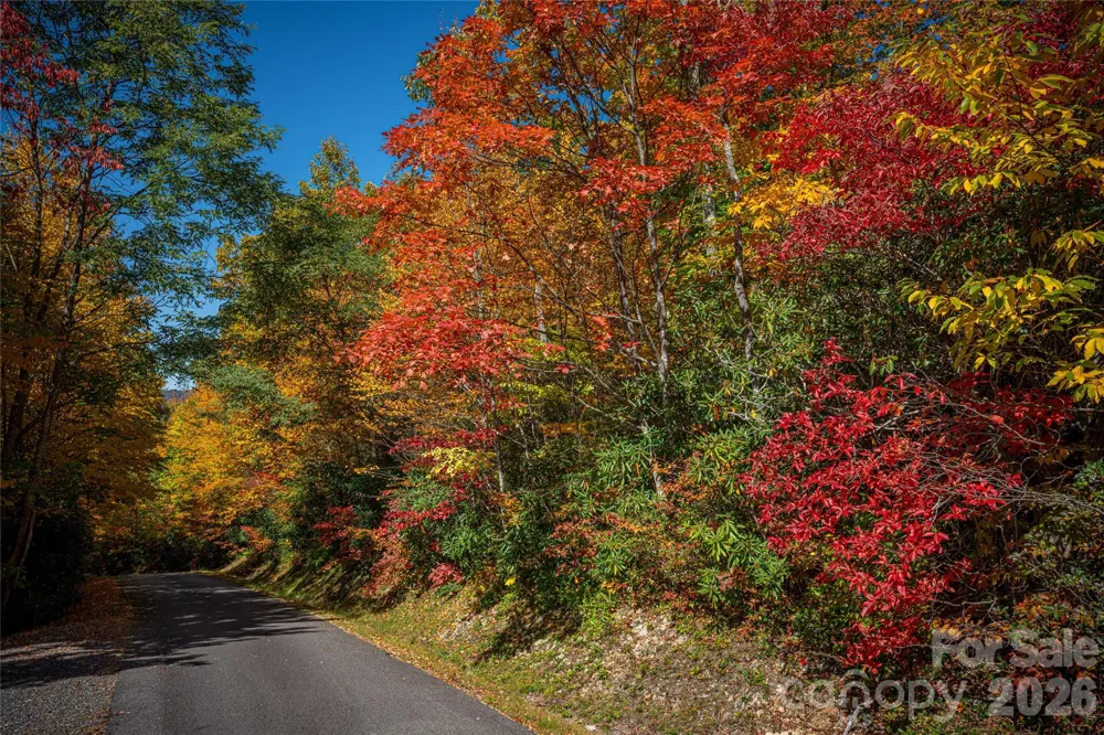 205 Chickadee Lane #205 Maggie Valley, NC 28751