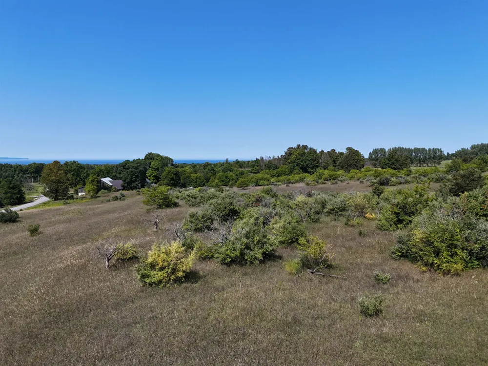 7200 Christianson Road Leelanau Township, MI 49670