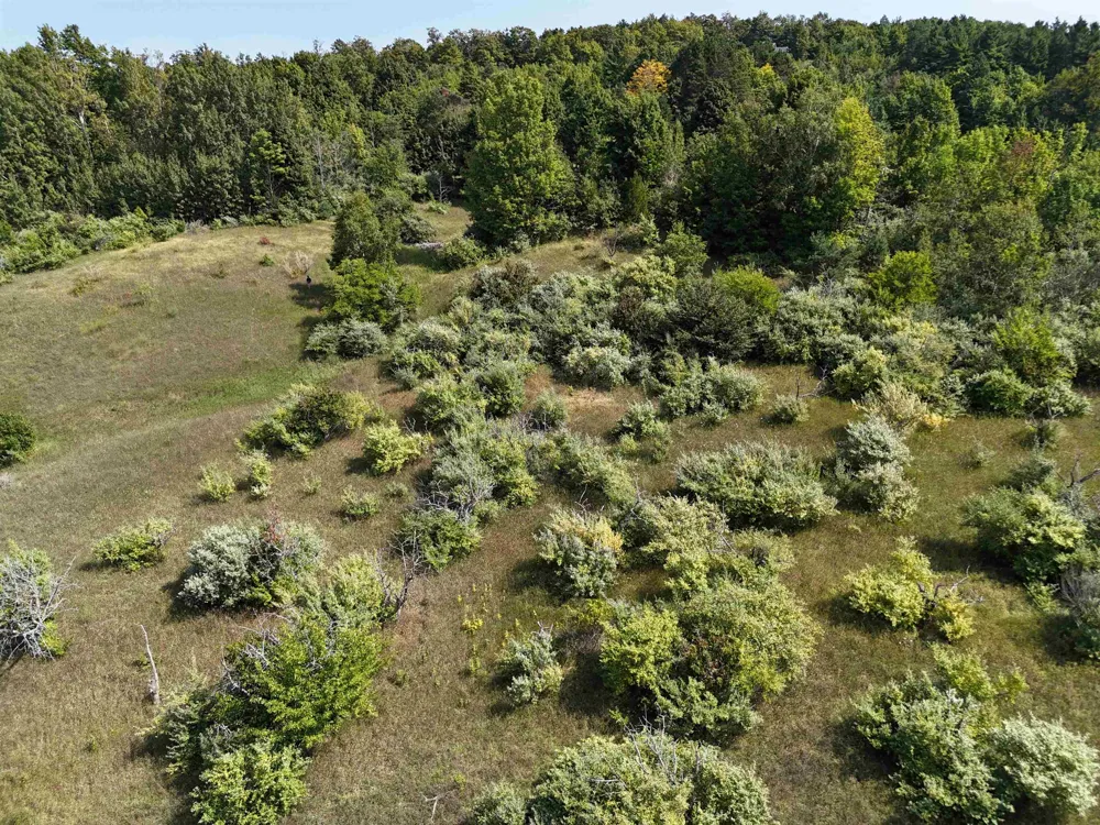 7200 Christianson Road Leelanau Township, MI 49670