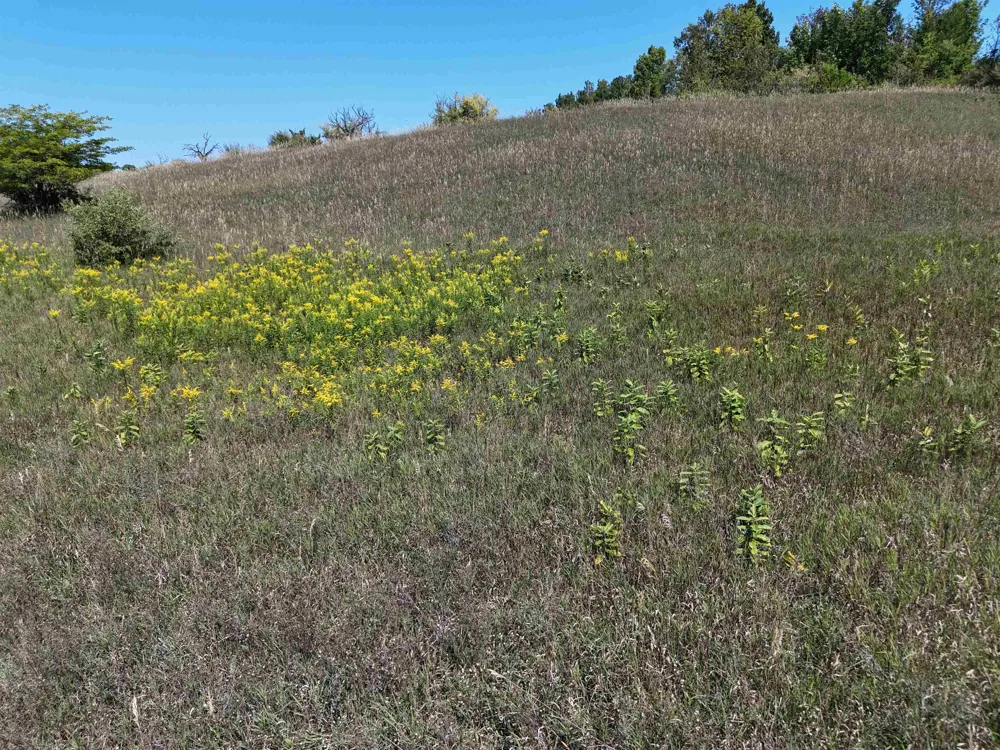 7200 Christianson Road Leelanau Township, MI 49670
