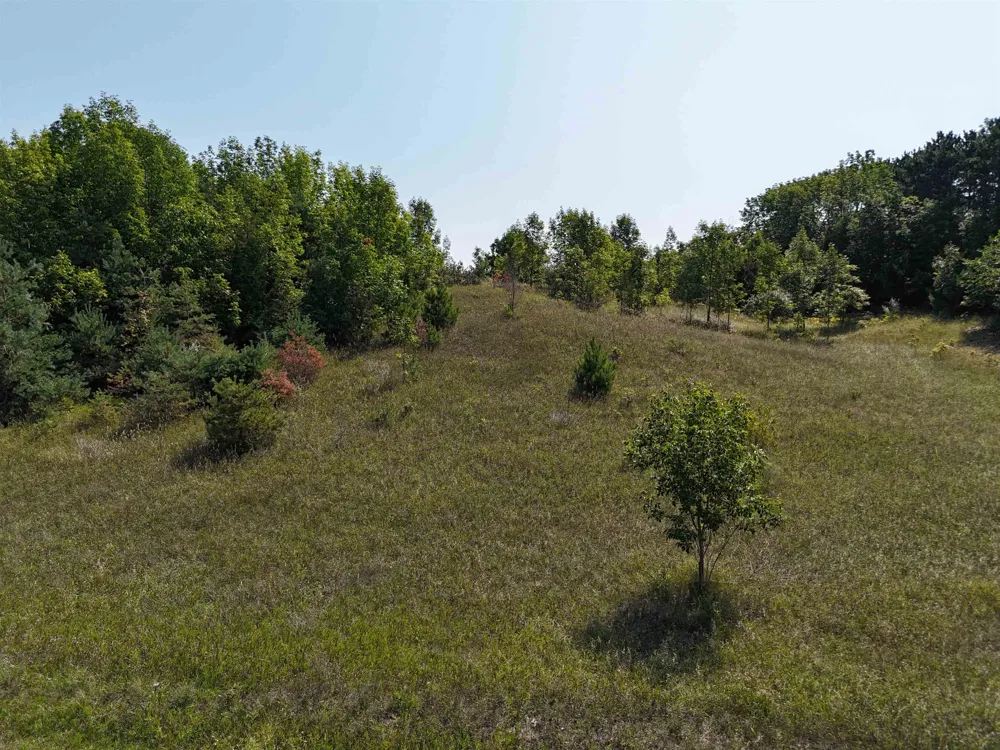 7200 Christianson Road Leelanau Township, MI 49670