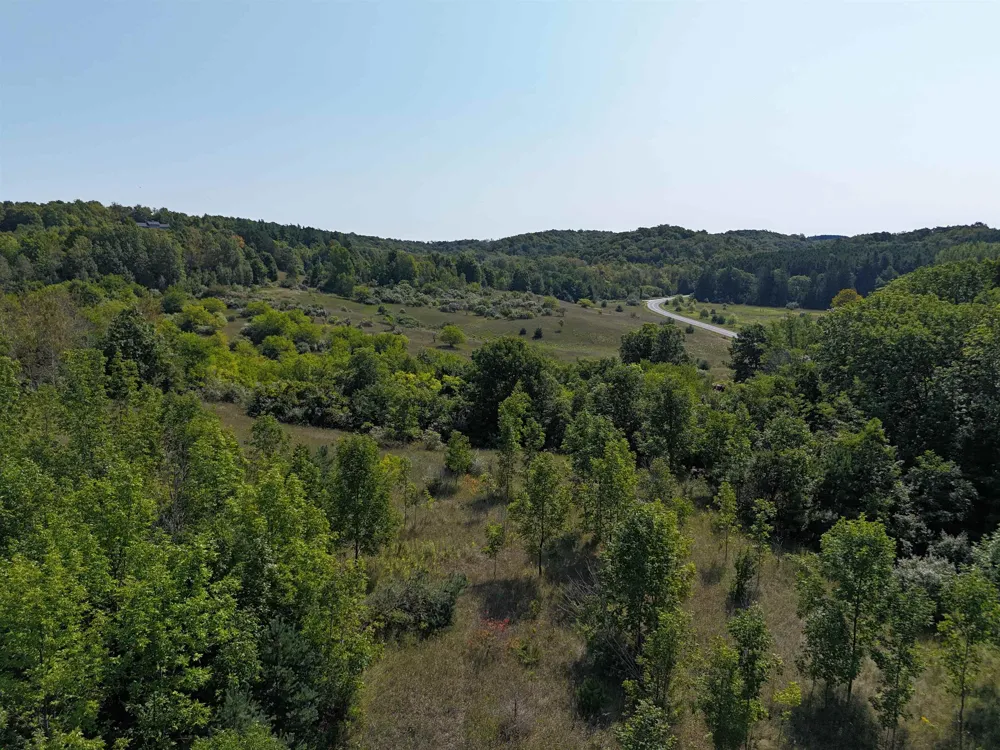 7200 Christianson Road Leelanau Township, MI 49670