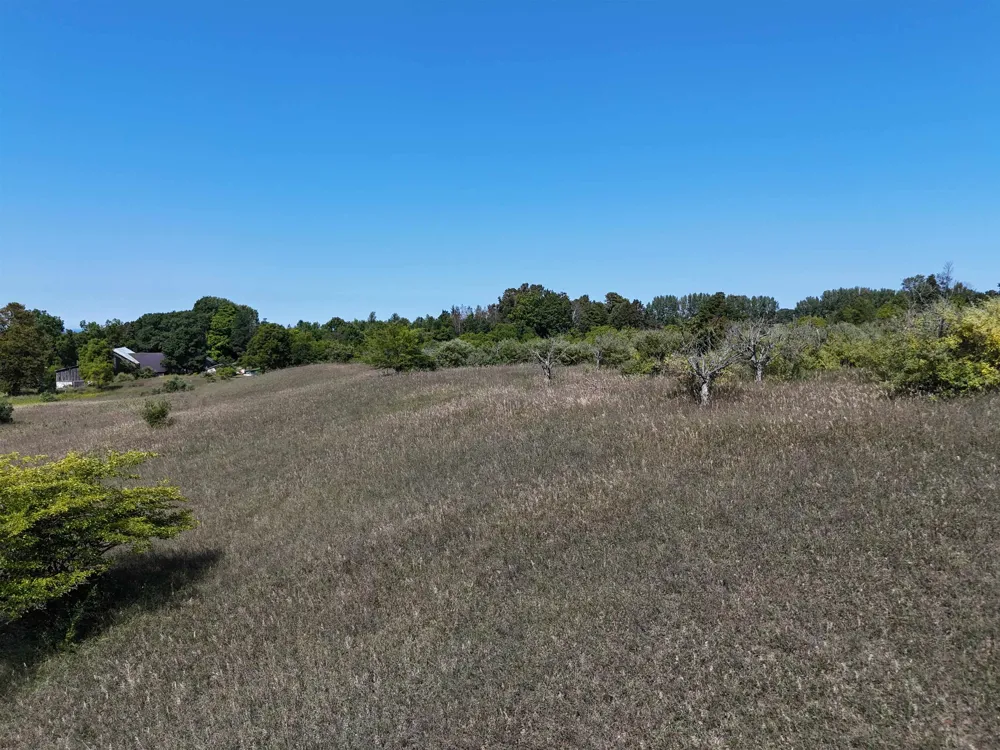 7200 Christianson Road Leelanau Township, MI 49670