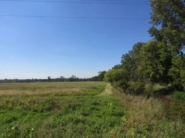 Morrice Rd. Road Bennington Township, MI 48867
