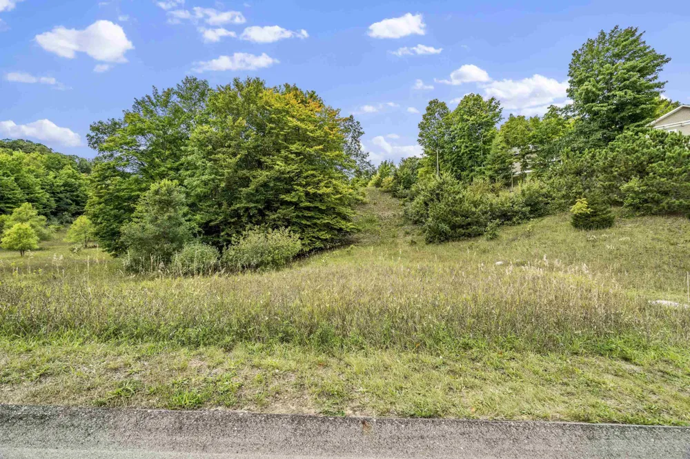 Buteo Drive Garfield Charter Township, MI 49684