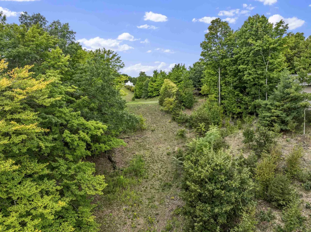 Buteo Drive Garfield Charter Township, MI 49684