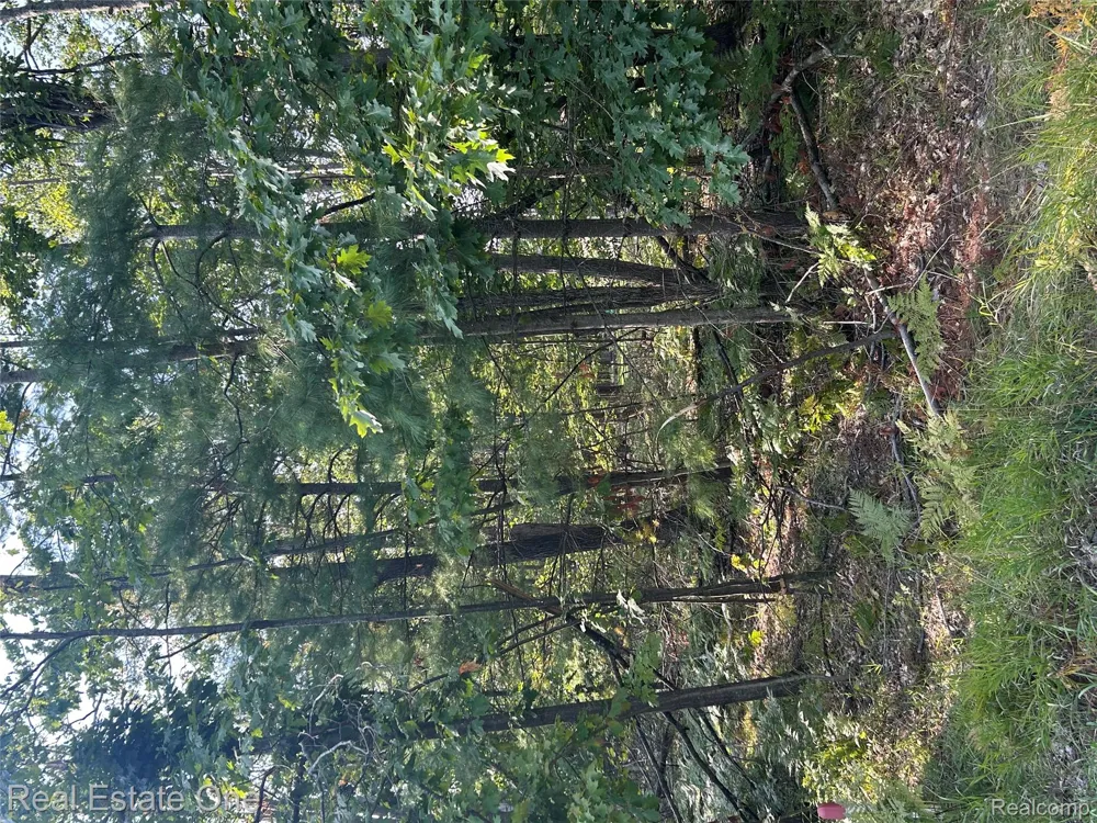 1797 Sandpiper Trail Otsego Lake Township, MI 48735