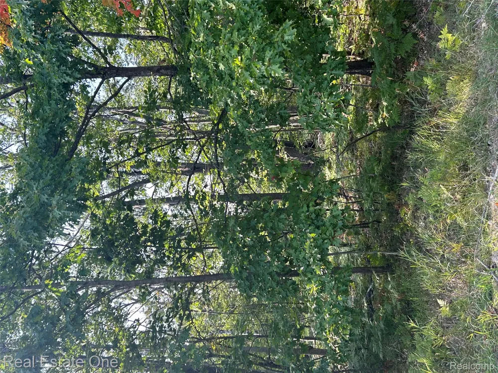1797 Sandpiper Trail Otsego Lake Township, MI 48735