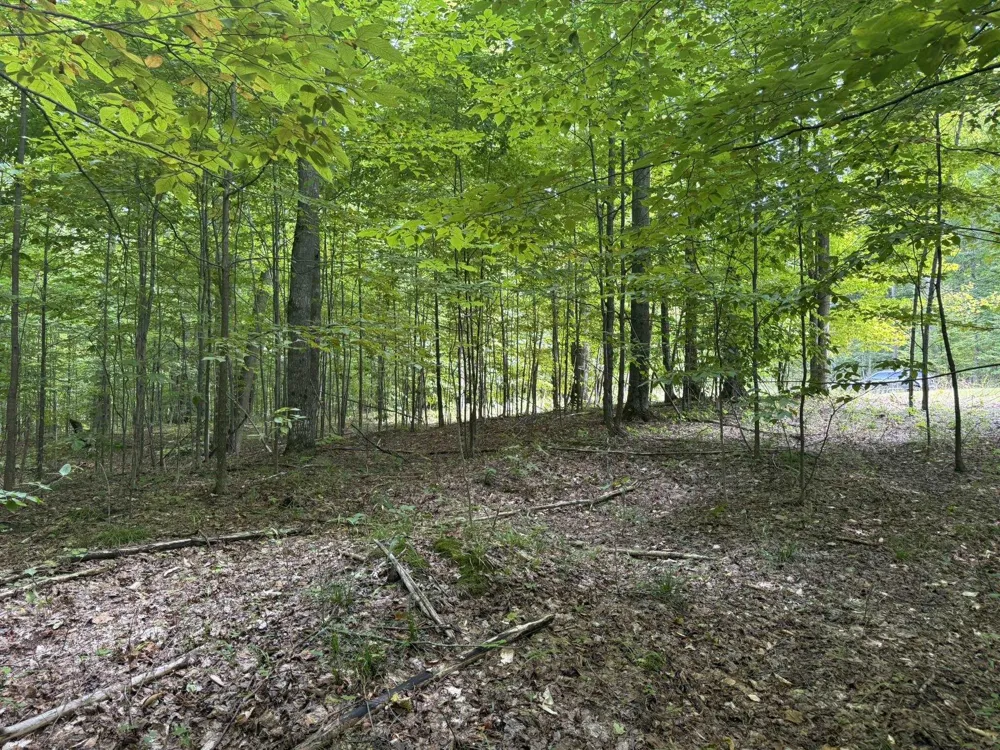 Niblick Court Kearney Township, MI 49615