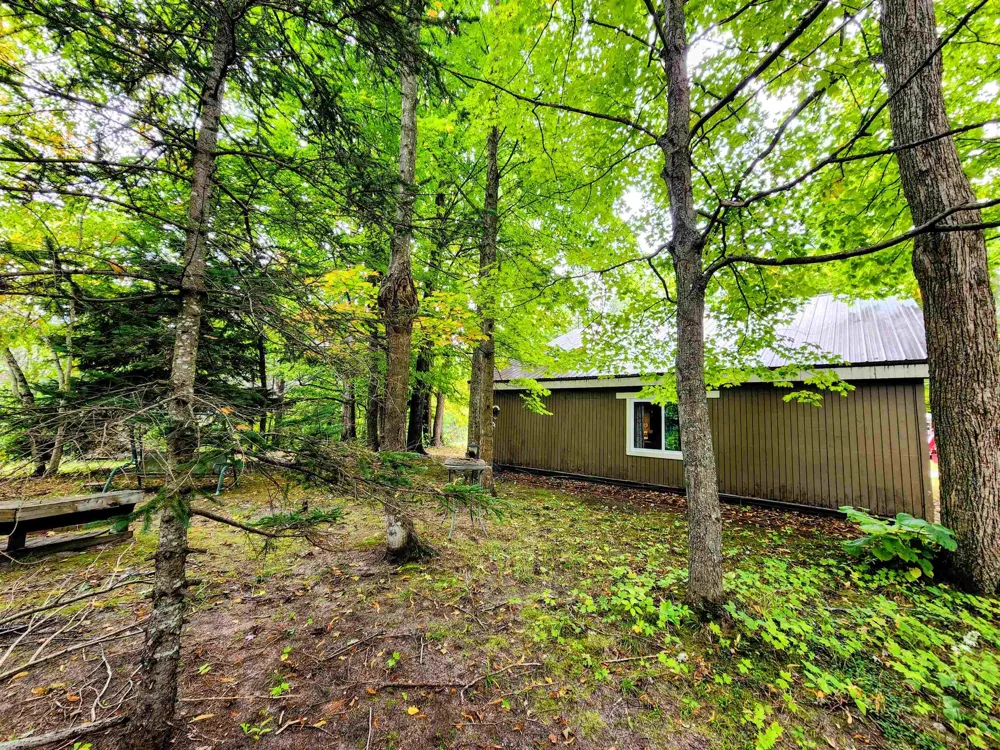 8610 Grassmere Court Mancelona Township, MI 49659