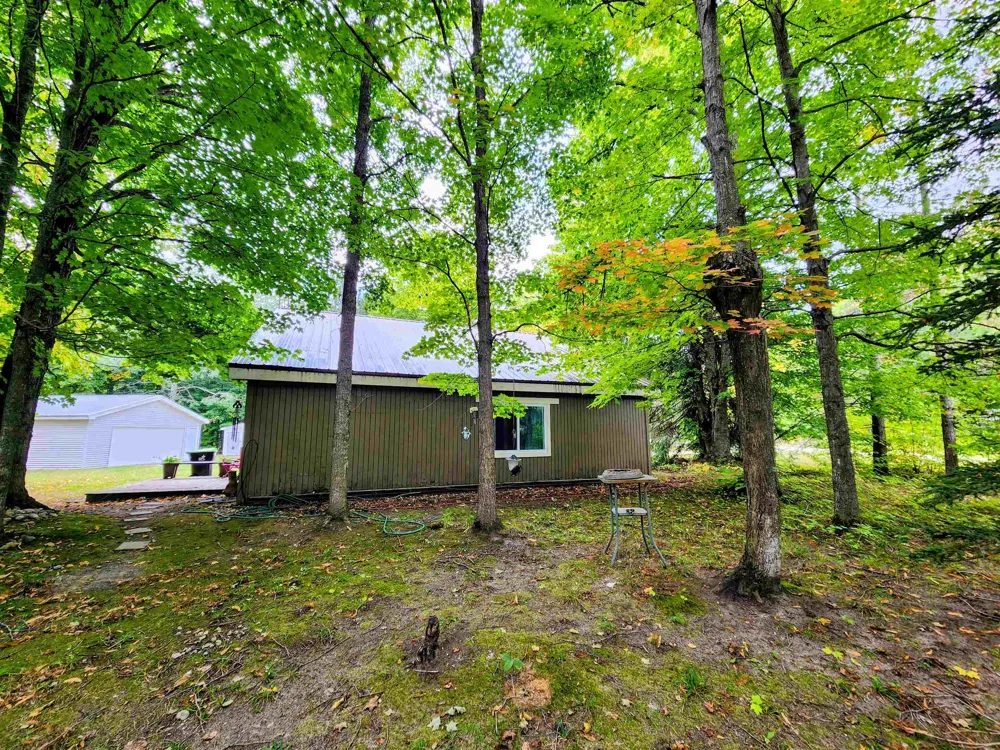 8610 Grassmere Court Mancelona Township, MI 49659