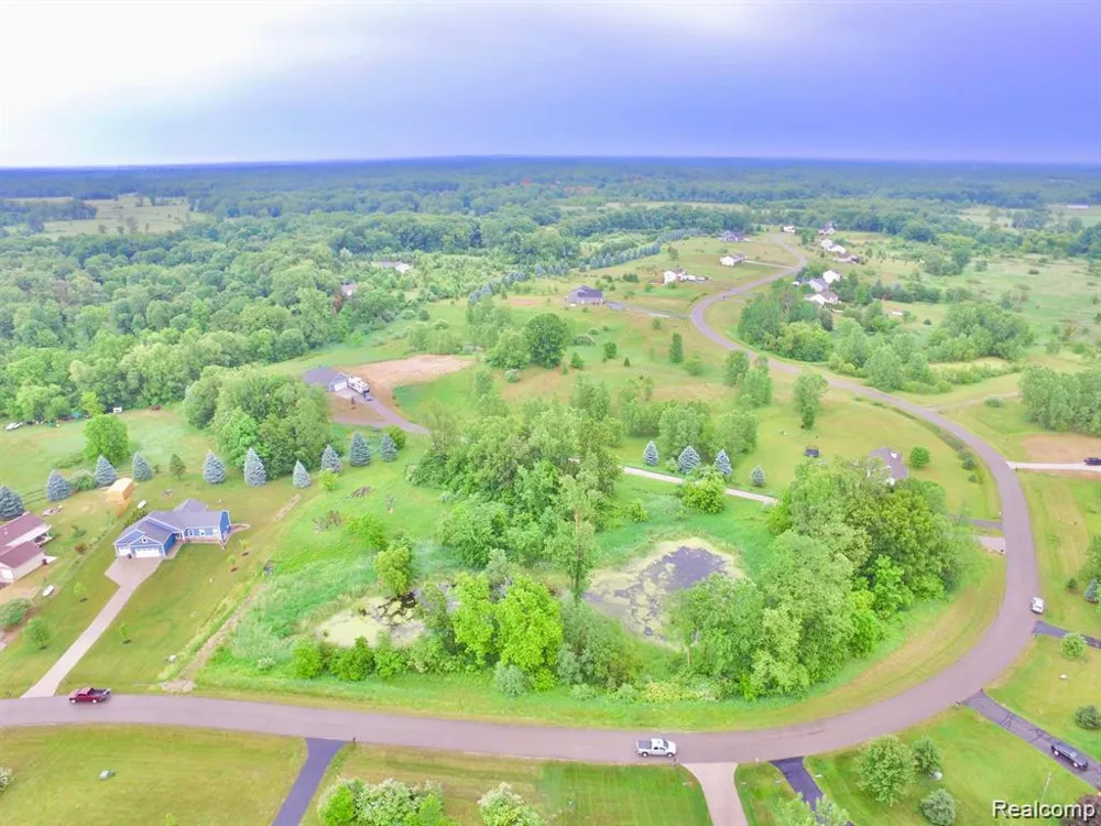 9860 Iosco Ridge Drive Iosco Township, MI 48137
