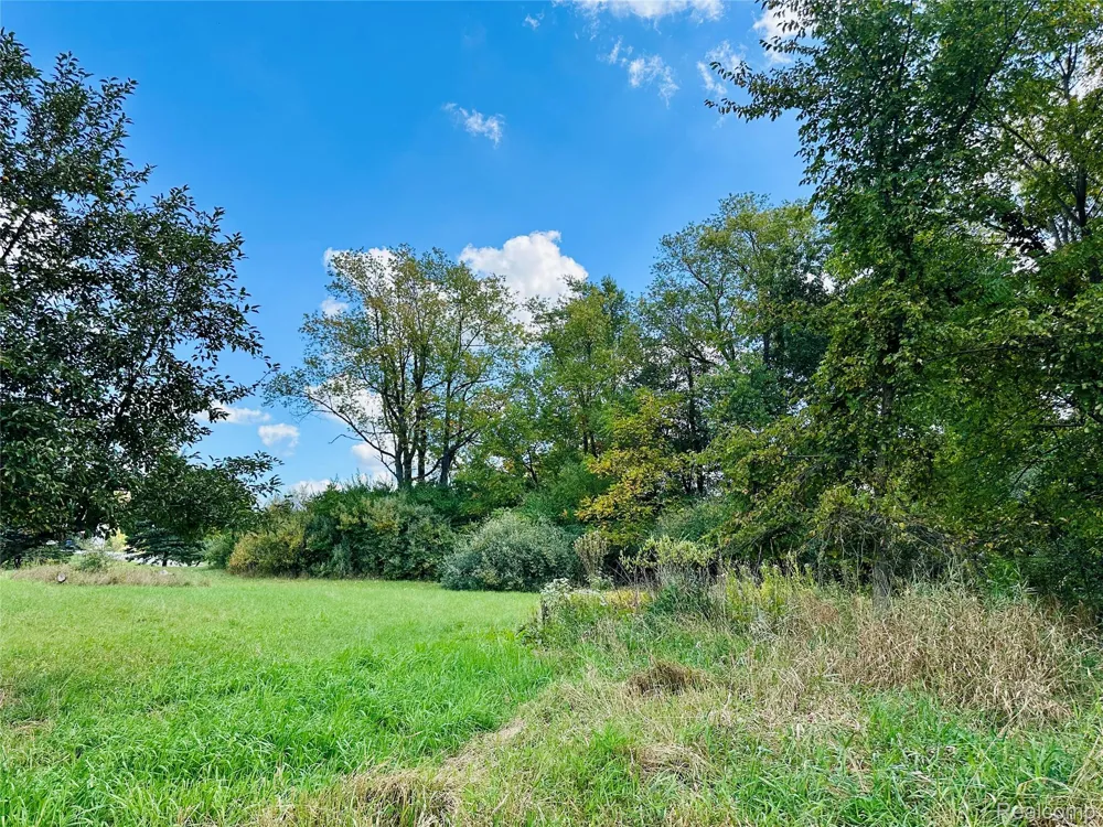 9860 Iosco Ridge Drive Iosco Township, MI 48137
