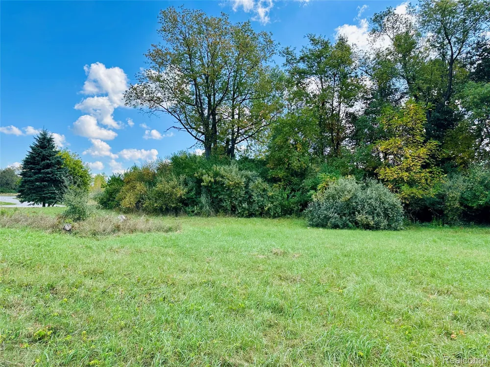 9860 Iosco Ridge Drive Iosco Township, MI 48137