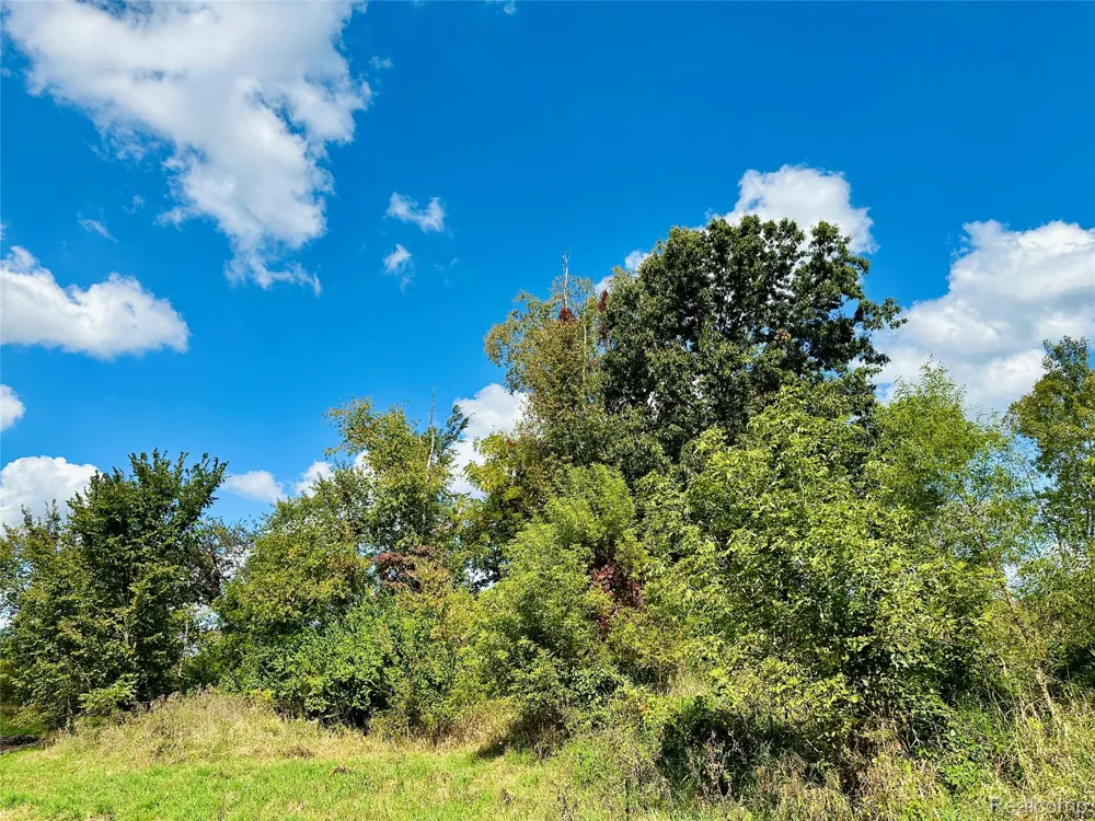 9860 Iosco Ridge Drive Iosco Township, MI 48137