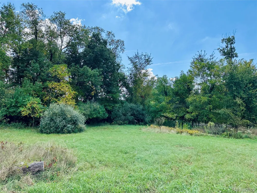 9860 Iosco Ridge Drive Iosco Township, MI 48137