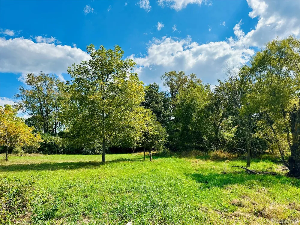 9860 Iosco Ridge Drive Iosco Township, MI 48137