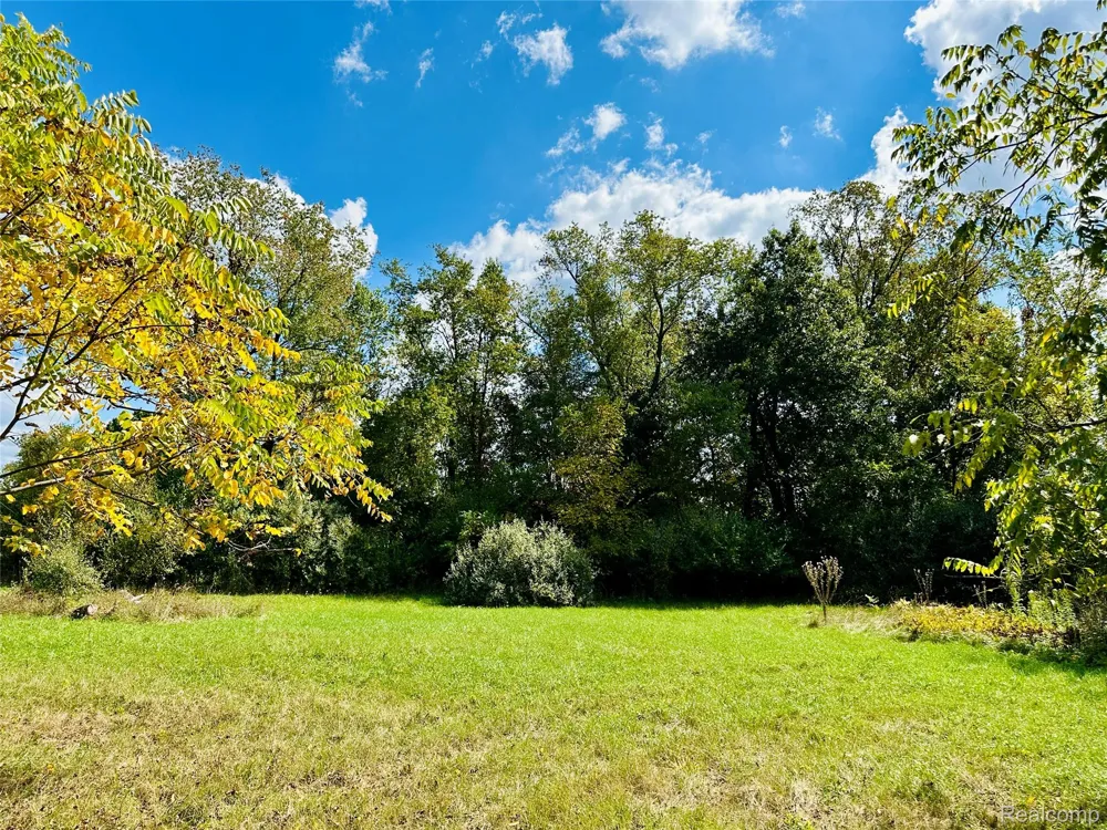9860 Iosco Ridge Drive Iosco Township, MI 48137